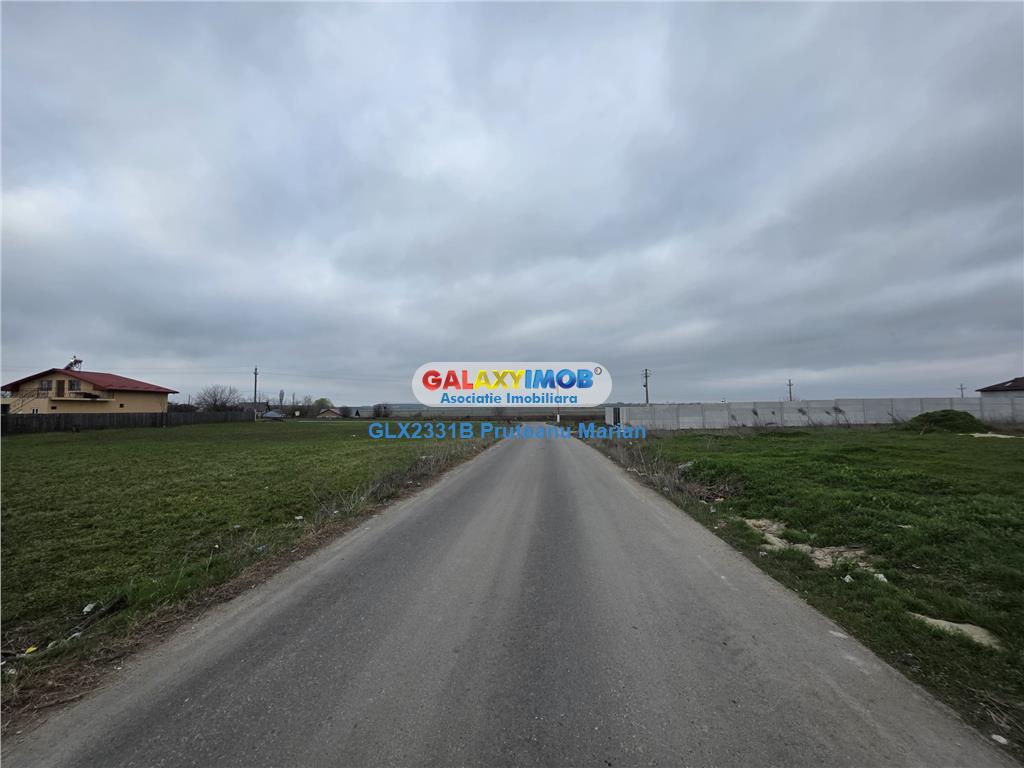 Vanzare lot de teren 1700 mp in apropriere de lac si padurea Cernica - foto 7