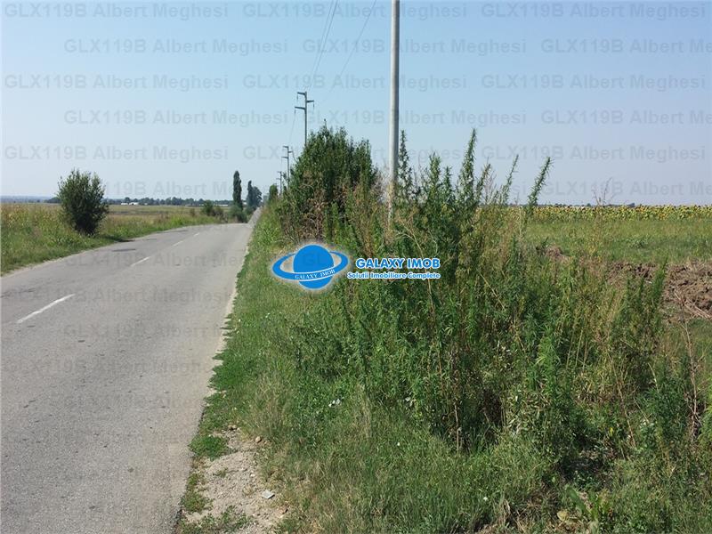 Vanzare Teren Intravilan  Herasti Giurgiu 2 HA - foto 2