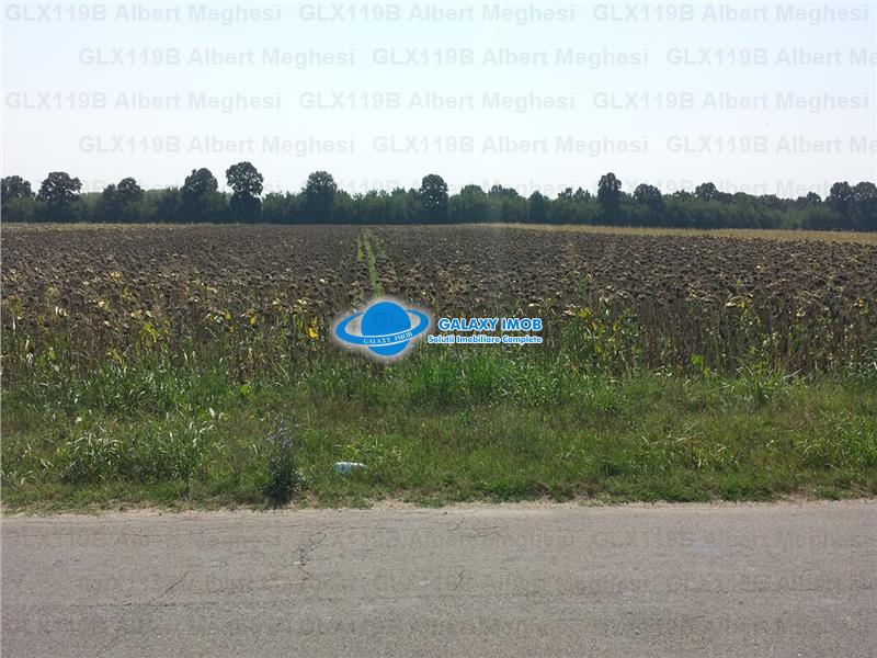 Vanzare Teren Intravilan  Herasti Giurgiu 2 HA - foto 4