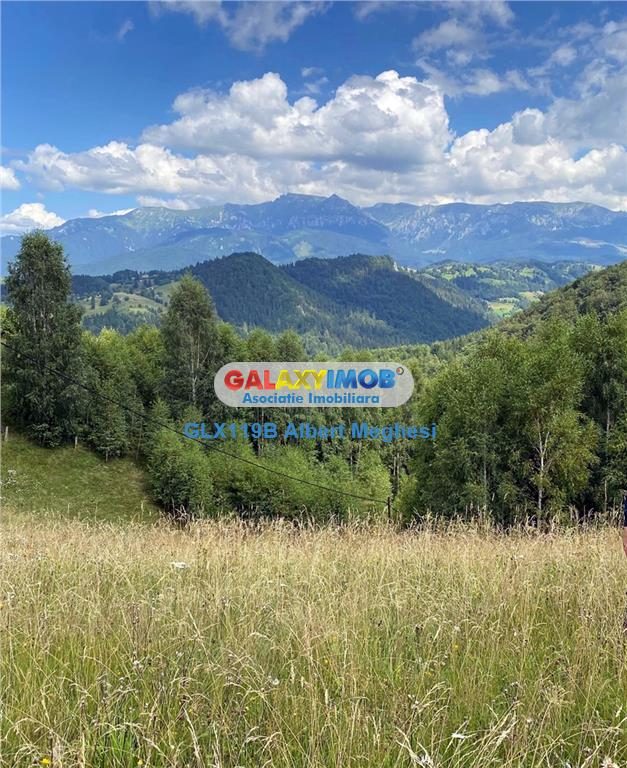 Vanzare teren intravilan  10818 mp , 47 ml la DN 73 Moieciu de Jos - foto 3