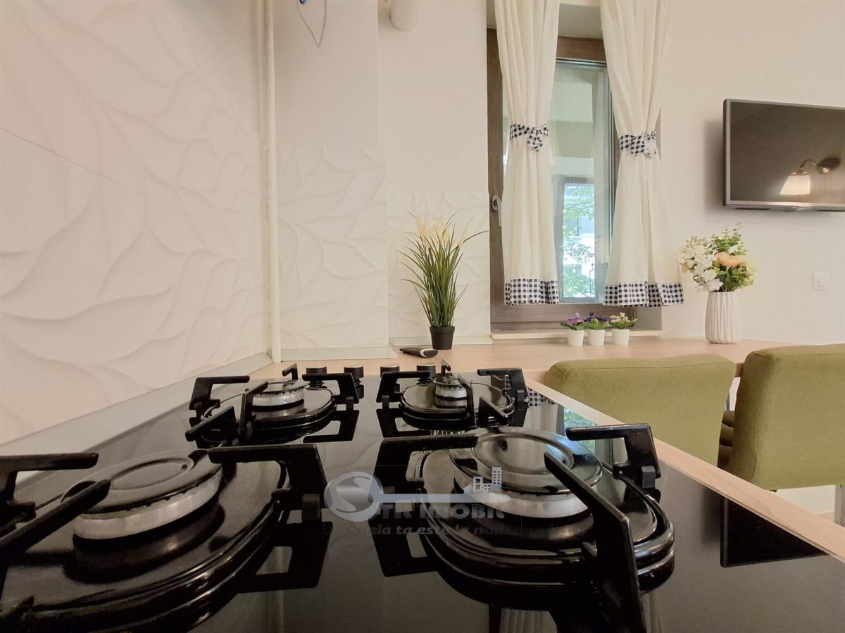 Apartament 2 camere, mobilat si utilat, Tatarasi, bloc nou - foto 4