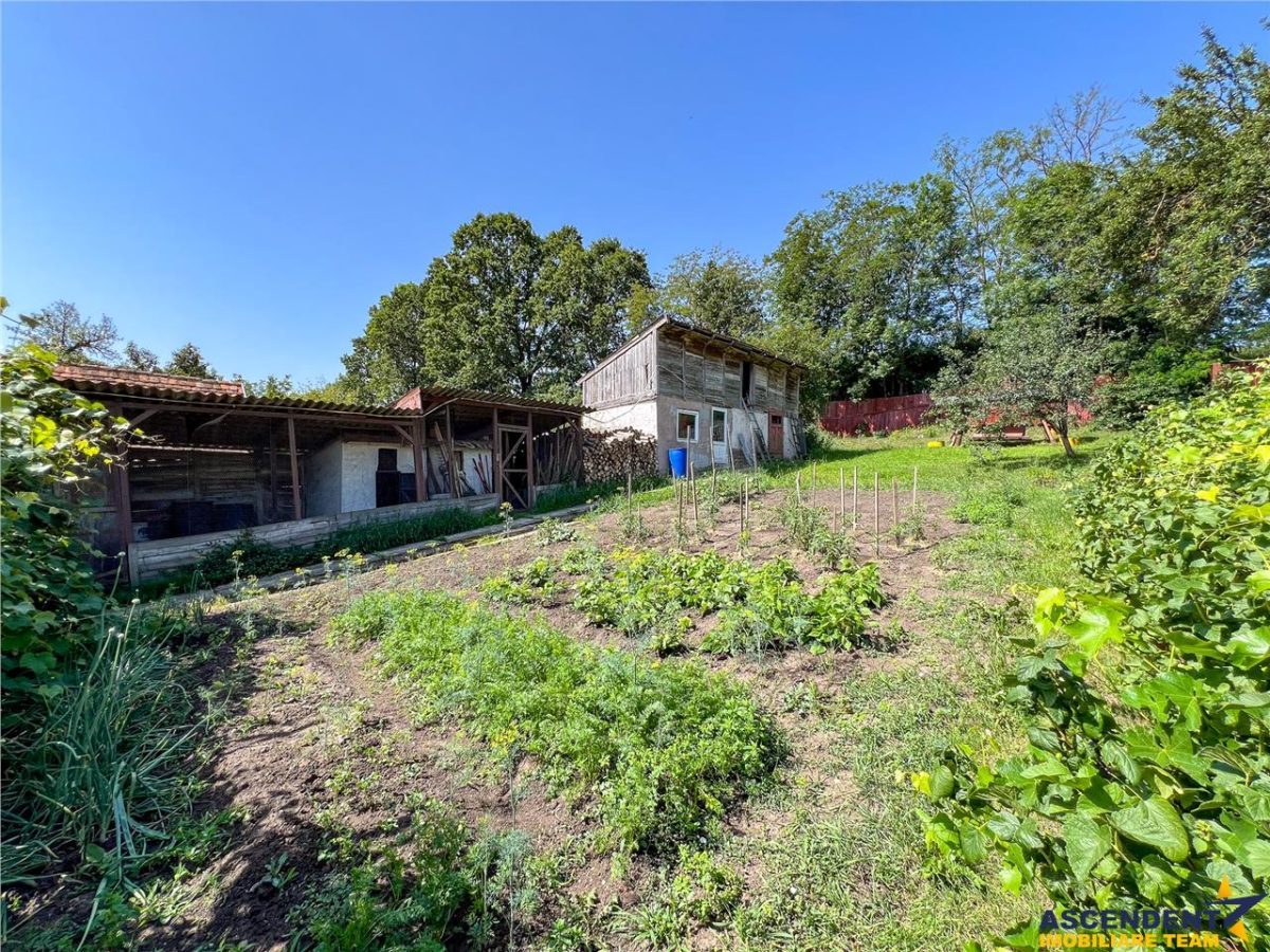 Casa primitoare in decor valoros, rodnic teren de 850mp, Ilieni, Covasna: FILM! - foto 16