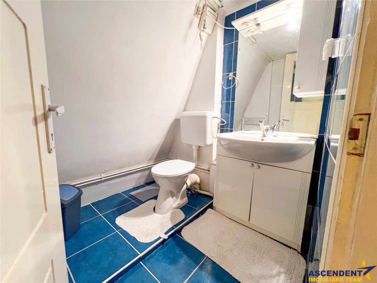 Casa primitoare in decor valoros, rodnic teren de 850mp, Ilieni, Covasna: FILM! - foto 20