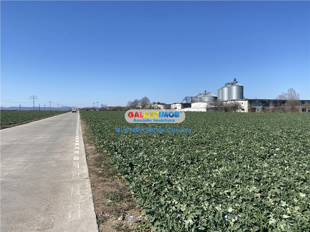 Vanzare teren industrial Paulesti Prahova gata de construit - foto 4