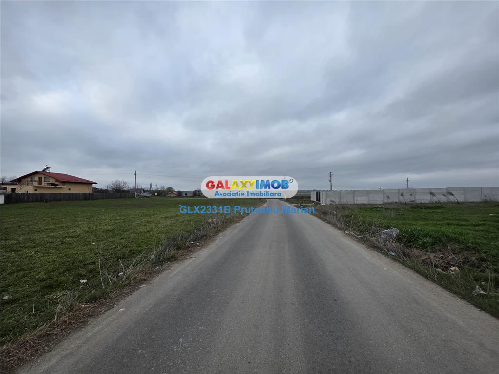 Vanzare lot de teren 1700 mp in apropriere de lac si padurea Cernica - foto 15