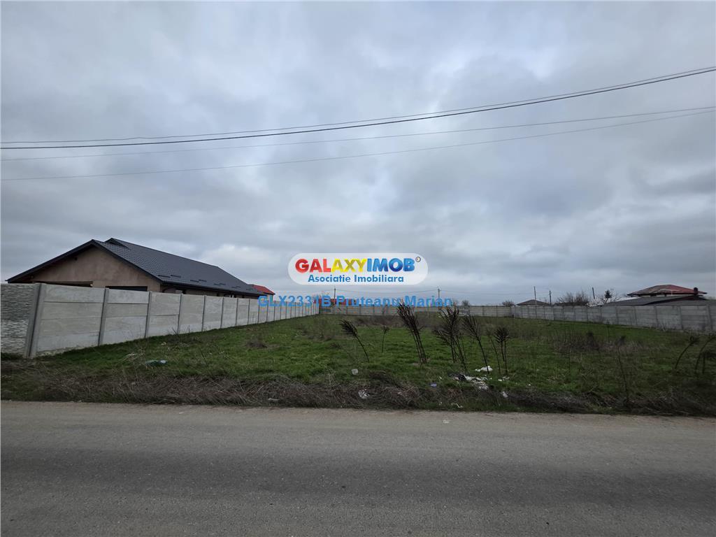 Vanzare lot de teren 1700 mp in apropriere de lac si padurea Cernica - foto 4