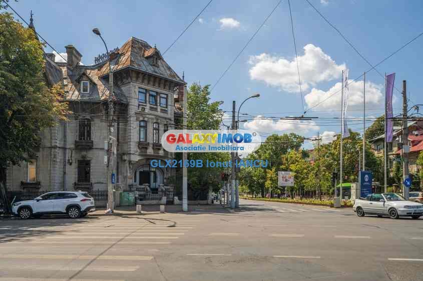 VILA PRESTIGIU PLEVNEI COLT cu CONSTANTIN NOICA - 255 MP - 