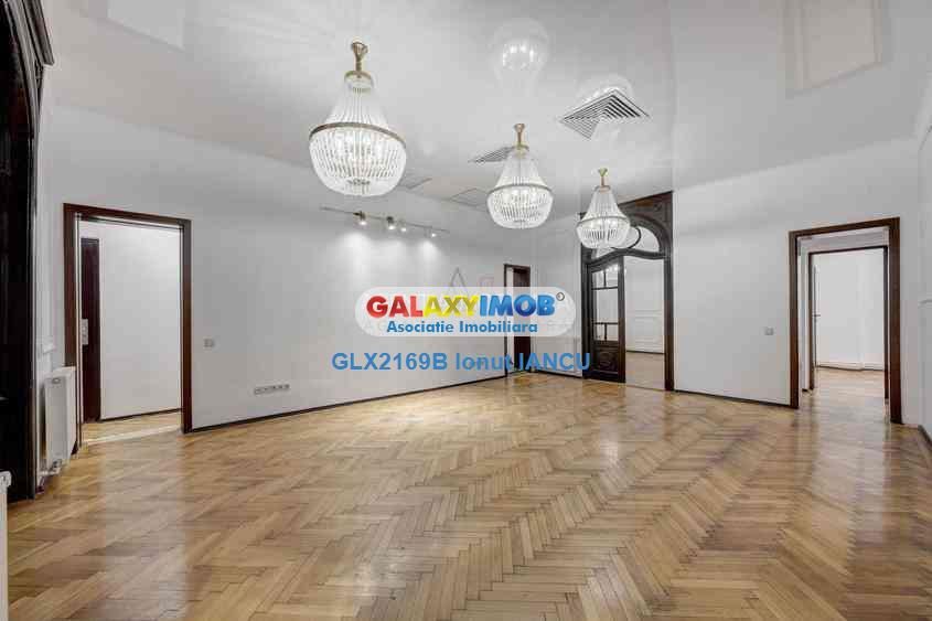 VILA PRESTIGIU PLEVNEI COLT cu CONSTANTIN NOICA - 255 MP - foto 16