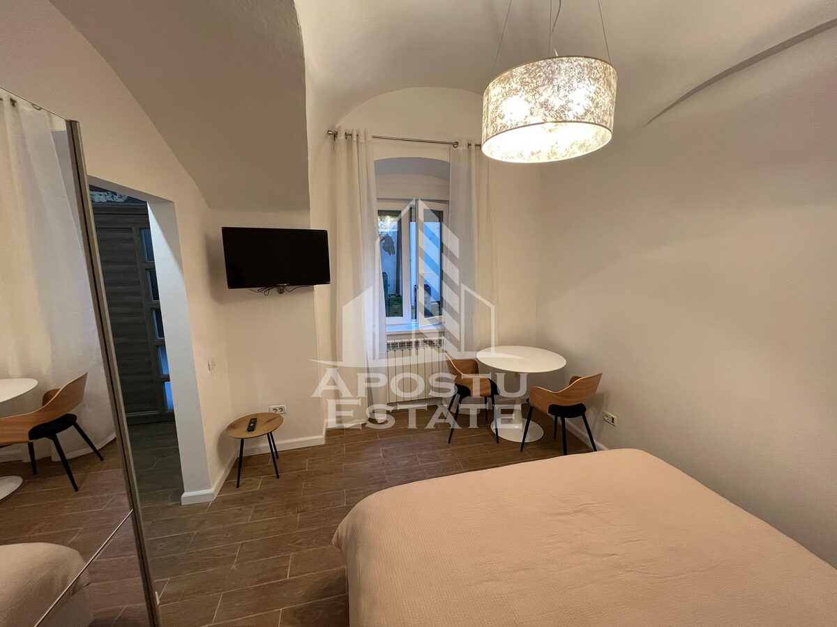 Apartament cu 1 camera de inchiriat, Piata Unirii, Timisoara - foto 3