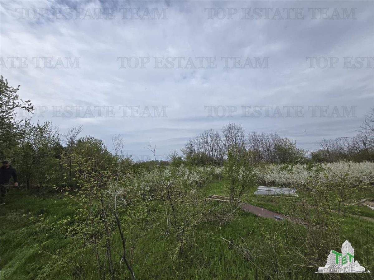 TEREN INTRAVILAN la 20 minute de Bucuresti - foto 3