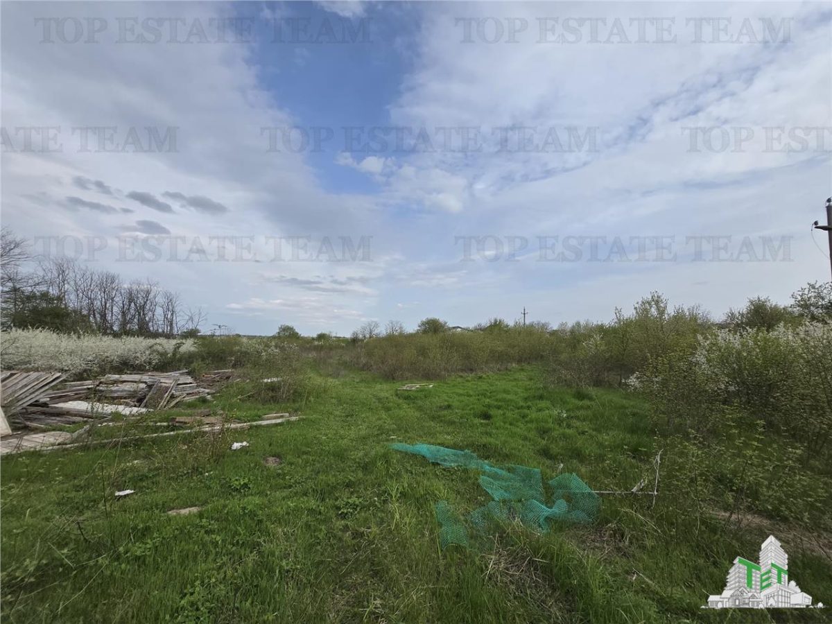 TEREN INTRAVILAN la 20 minute de Bucuresti - foto 4