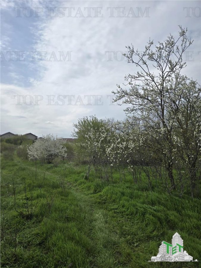 TEREN INTRAVILAN la 20 minute de Bucuresti - foto 5