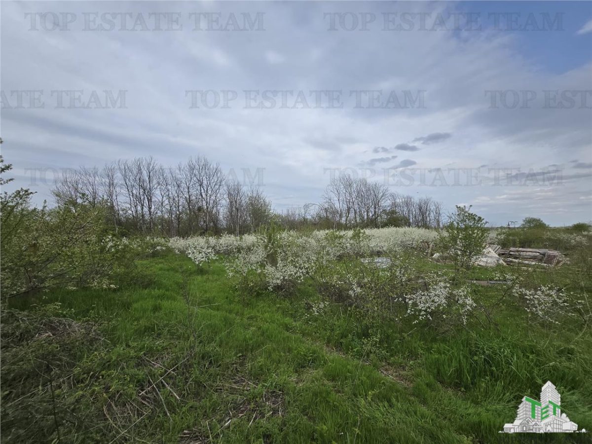 TEREN INTRAVILAN la 20 minute de Bucuresti - foto 6