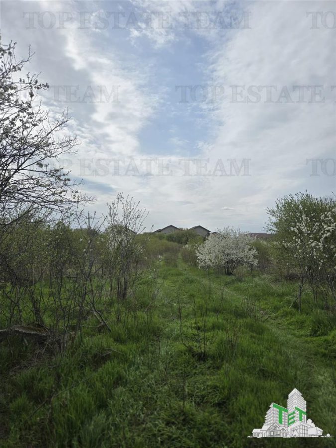 TEREN INTRAVILAN la 20 minute de Bucuresti - foto 7