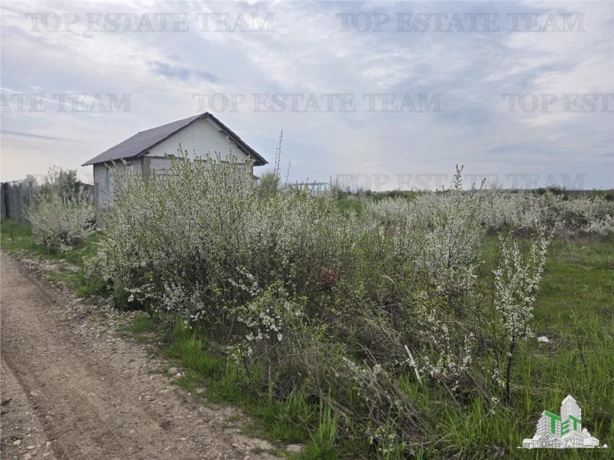 TEREN INTRAVILAN 420 mp la 20 minute  de Bucuresti - 