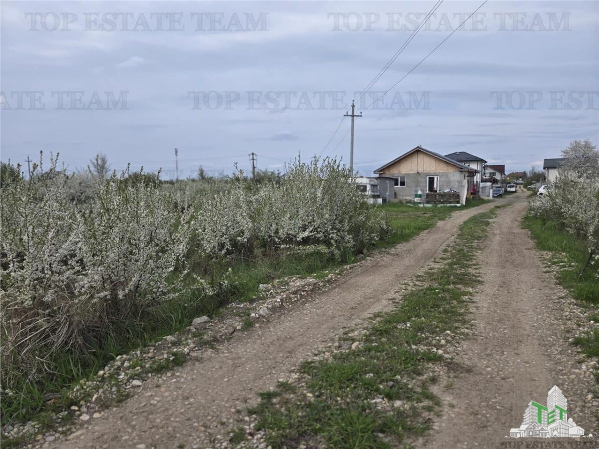 TEREN INTRAVILAN 420 mp la 20 minute  de Bucuresti - foto 2