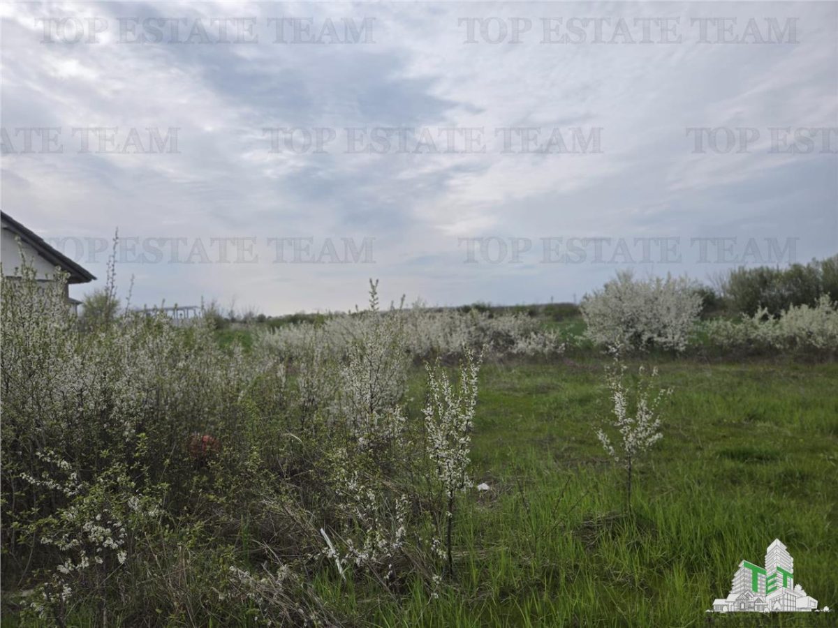 TEREN INTRAVILAN 420 mp la 20 minute  de Bucuresti - foto 4