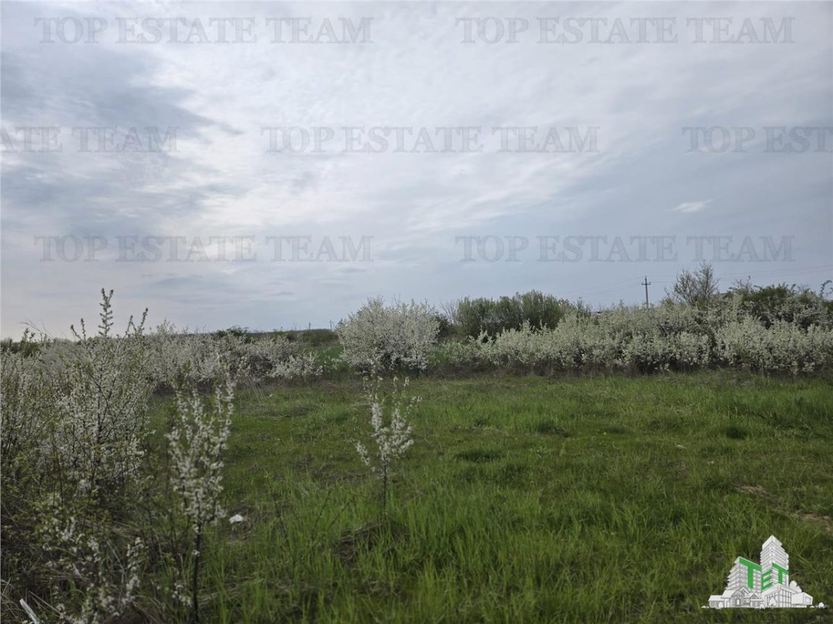 TEREN INTRAVILAN 420 mp la 20 minute  de Bucuresti - foto 7