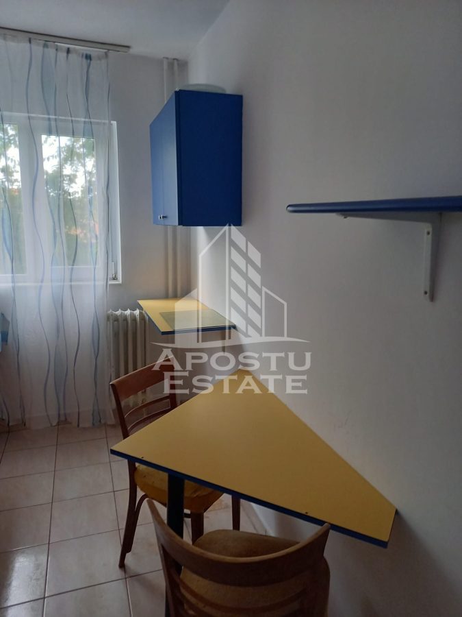 Apartament cu 1 camera , spatios , Iosefin - foto 4