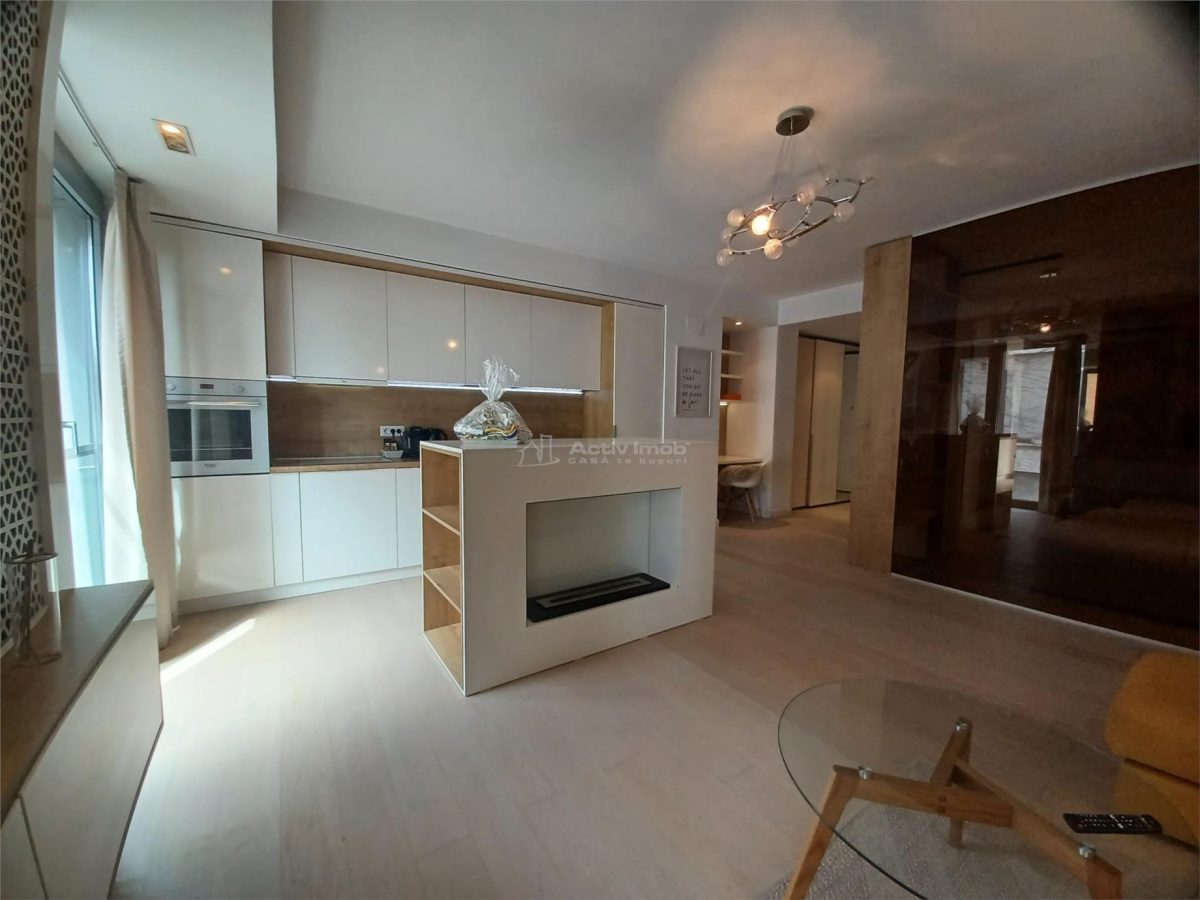 Inchiriere 2 Camere Studio Piata Victoriei- Sfintii Voievozi - foto 2