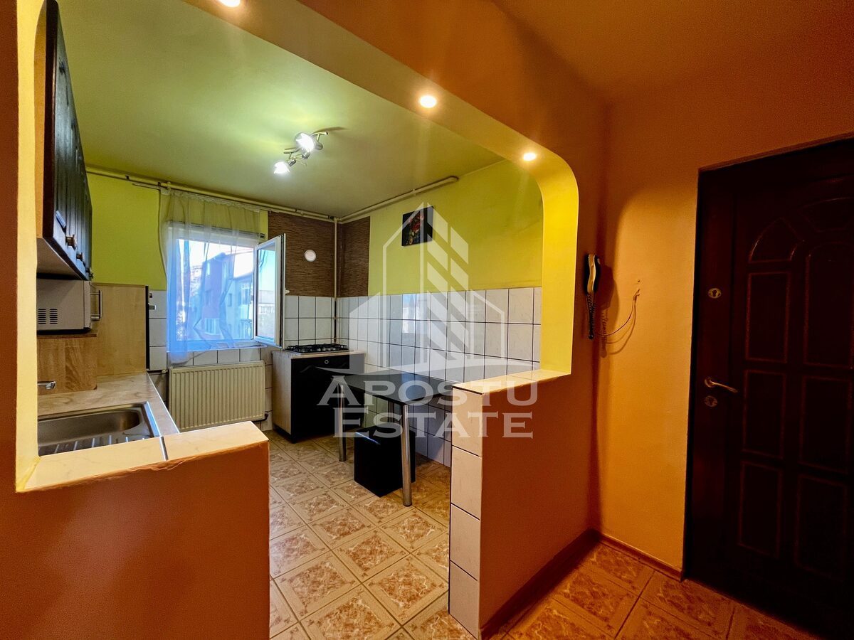 Apartament 2 camere de vanzare, zona Lipovei, Timisoara - foto 11