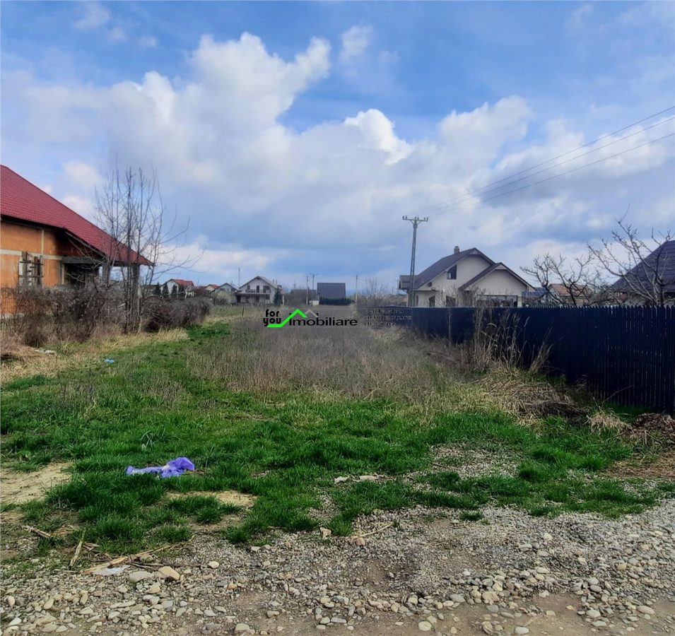 Teren intravilan  Magura-Farbe - foto 3