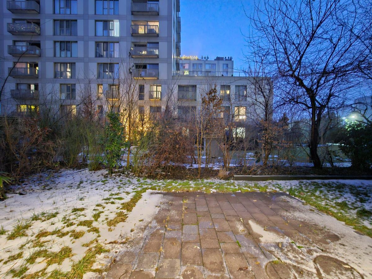 Aviatiei | Mega Image | Aviatiei Park | 2020 | Gradina 30MP - foto 21