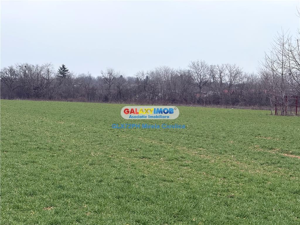 Vanzare teren intravilan Baicoi zona Ciresi - foto 4