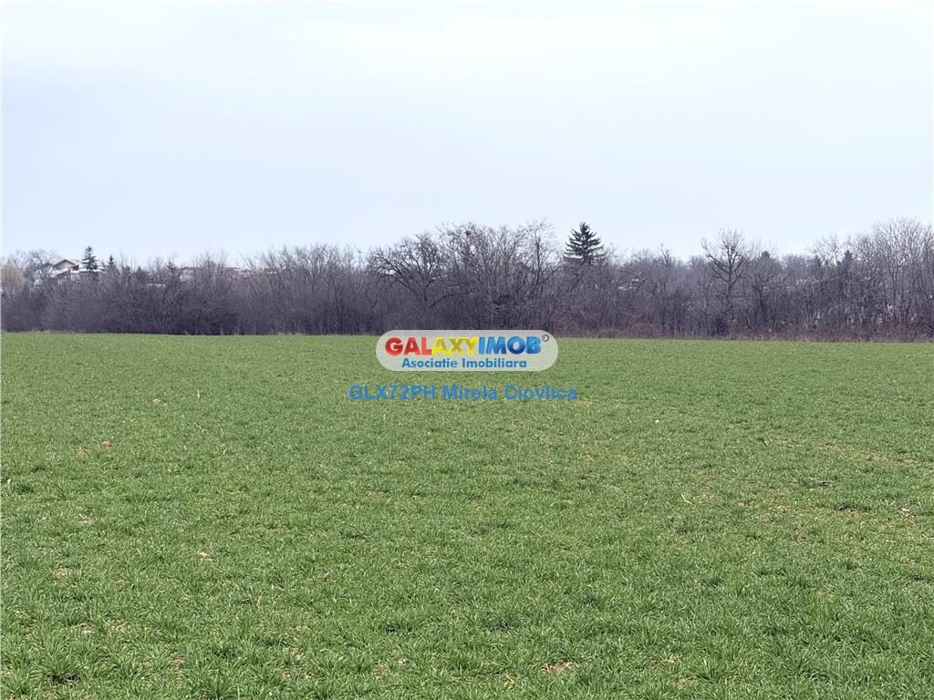Vanzare teren intravilan Baicoi zona Ciresi - foto 5