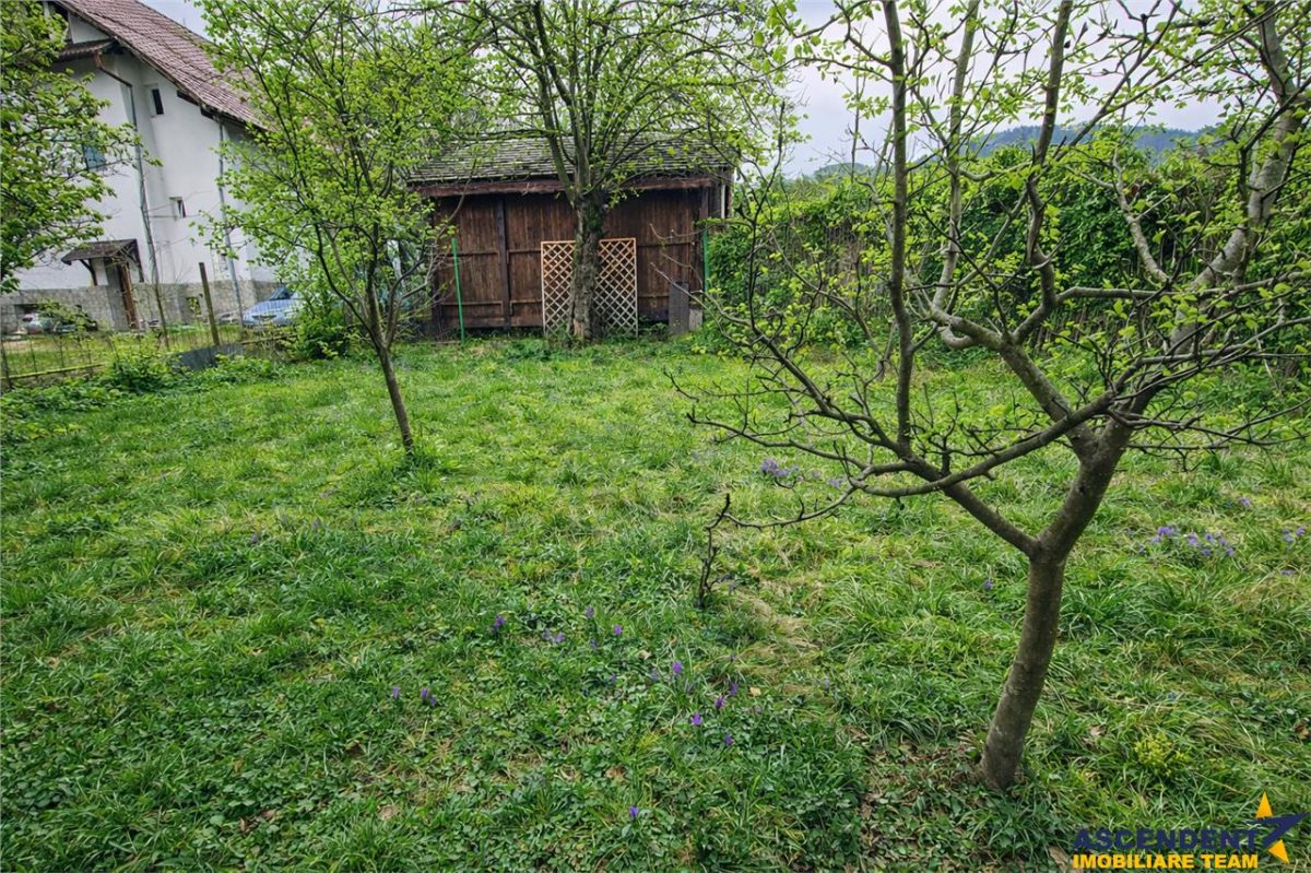 Casa, cu 850 mp gradina, Centrul Istoric - Schei, Brasov - foto 3