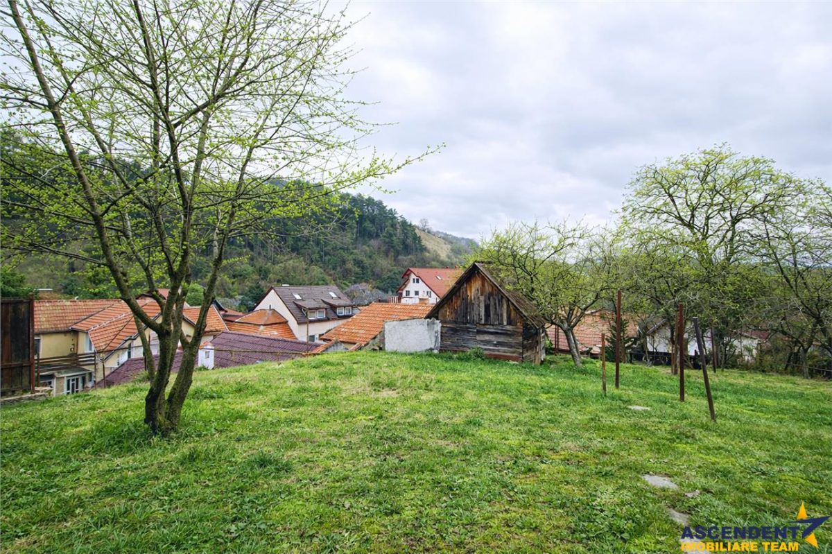 Casa, cu 850 mp gradina, Centrul Istoric - Schei, Brasov - foto 5