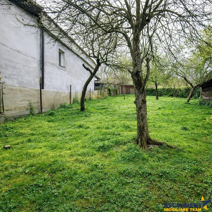 Casa, cu 850 mp gradina, Centrul Istoric - Schei, Brasov - foto 7