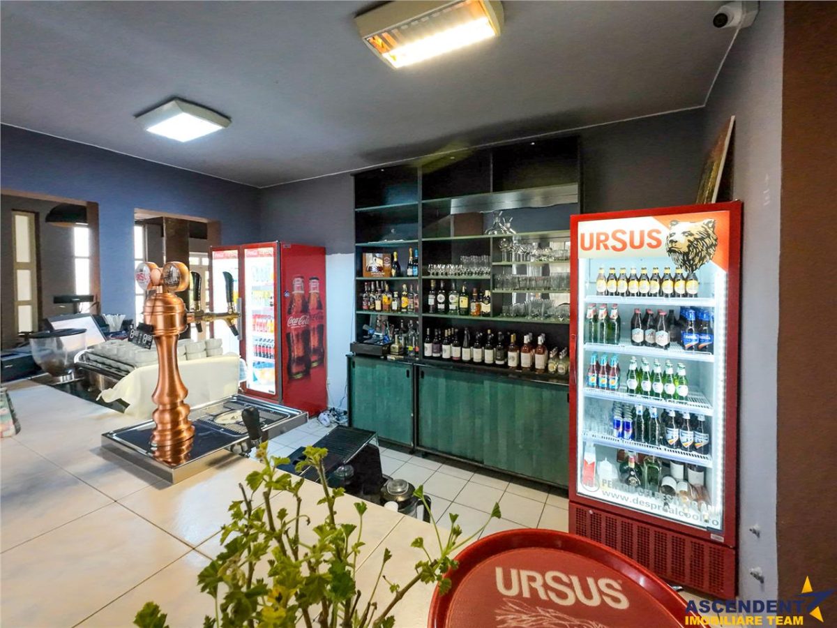 Potential imobiliar remarcabil, recomandat domeniului Petrolier si HoReCa, DN11, Reci, Covasna - foto 9