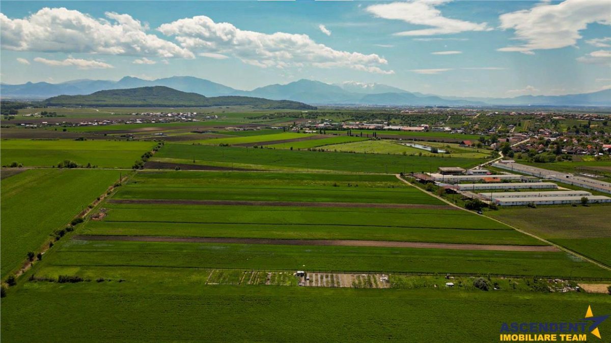 FILM! Teren extravilan 5.000 mp in zona linistita cu acces facil, Bod, Brasov.. - 