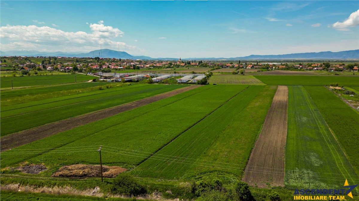 FILM! Teren extravilan 5.000 mp in zona linistita cu acces facil, Bod, Brasov.. - foto 2