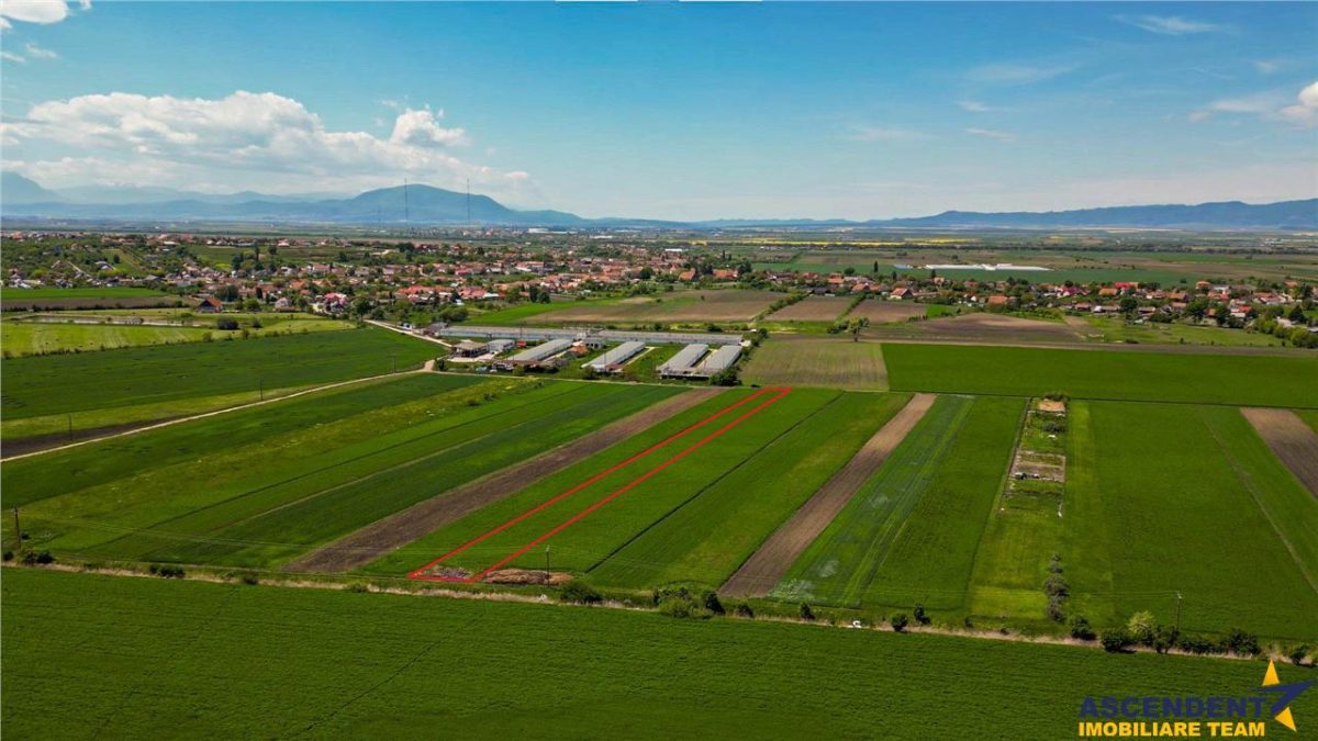 FILM! Teren extravilan 5.000 mp in zona linistita cu acces facil, Bod, Brasov.. - foto 3