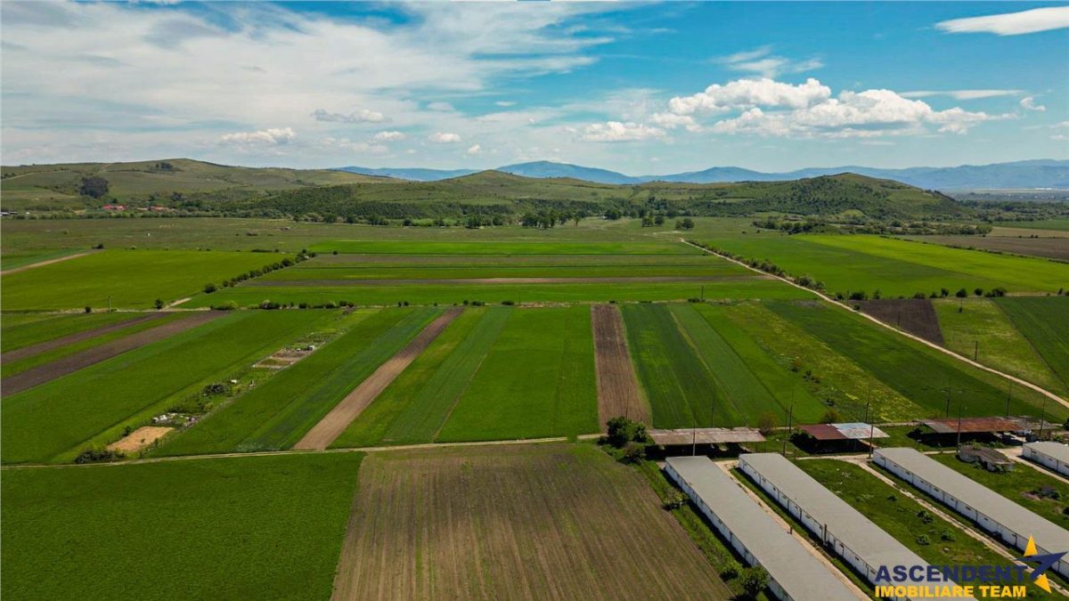 FILM! Teren extravilan 5.000 mp in zona linistita cu acces facil, Bod, Brasov.. - foto 4