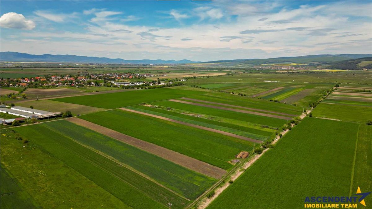 FILM! Teren extravilan 5.000 mp in zona linistita cu acces facil, Bod, Brasov.. - foto 5