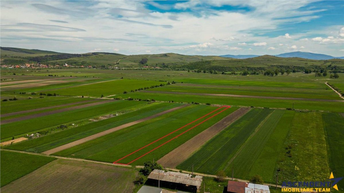 FILM! Teren extravilan 5.000 mp in zona linistita cu acces facil, Bod, Brasov.. - foto 6