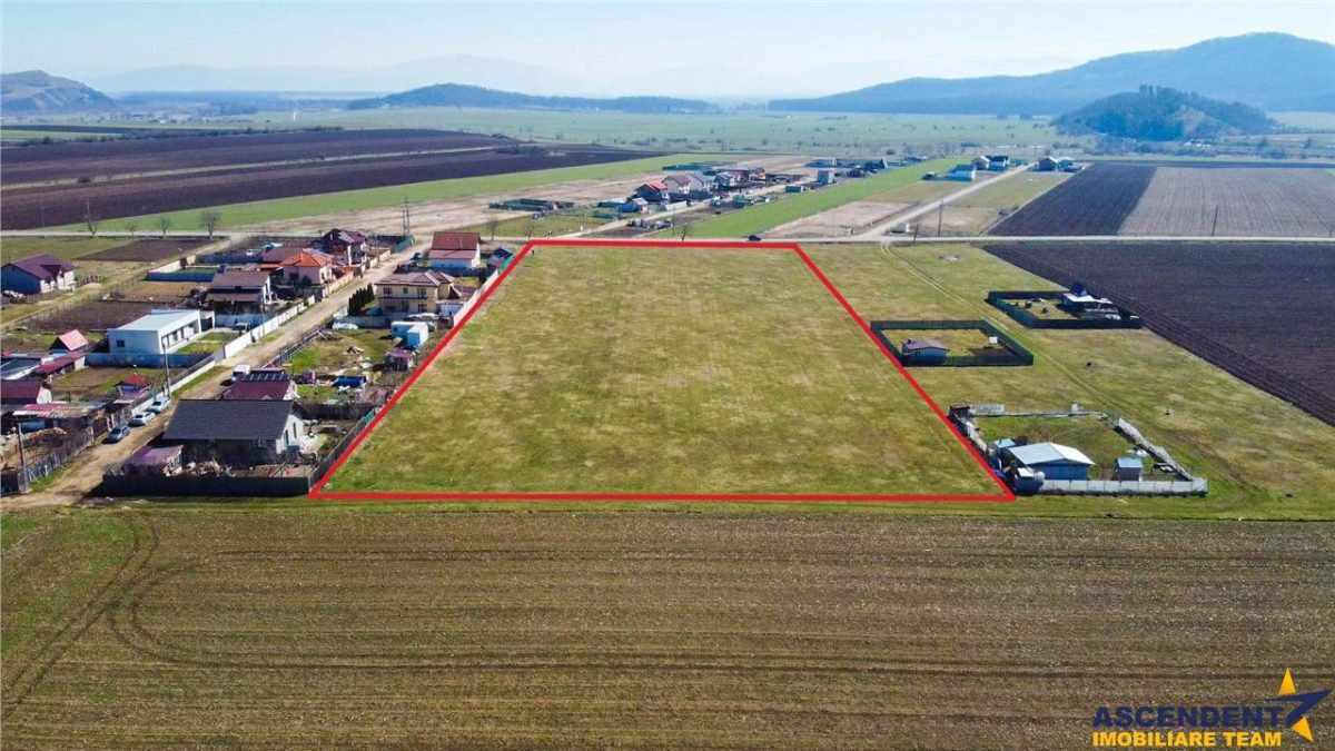 FILM! Domeniu urban, 18.200mp, cu planuri validate, Bod, Brasov. - 