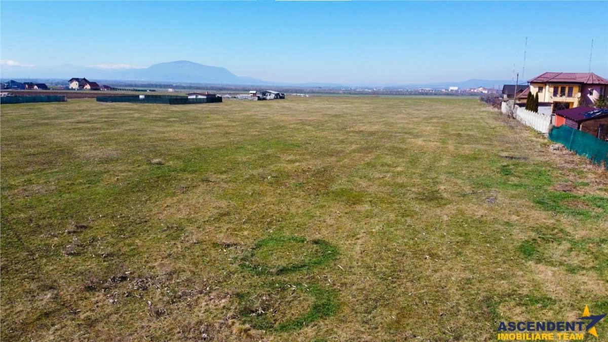 FILM! Domeniu urban, 18.200mp, cu planuri validate, Bod, Brasov. - foto 19