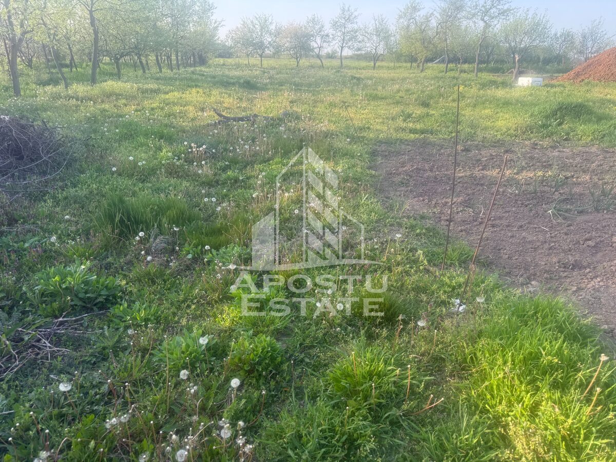 Teren generos de 1439 mp in Ianova - 