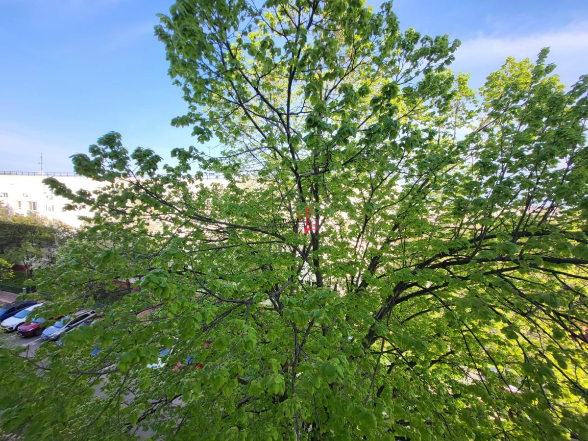 METROU 1 DEC 1918 / 4 CAMERE / DECOMANDAT - foto 2