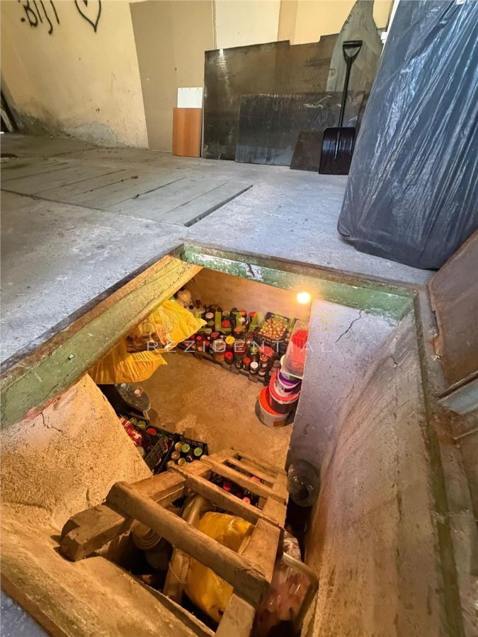 CASA la 7 minute de METROU Anghel Saligny ~ 754 mp TEREN - foto 16