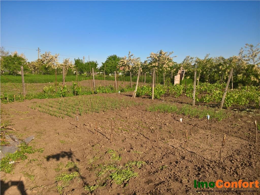 Casa noua S+ P+M, cu 1464mp teren, in Bogdanesti - foto 3