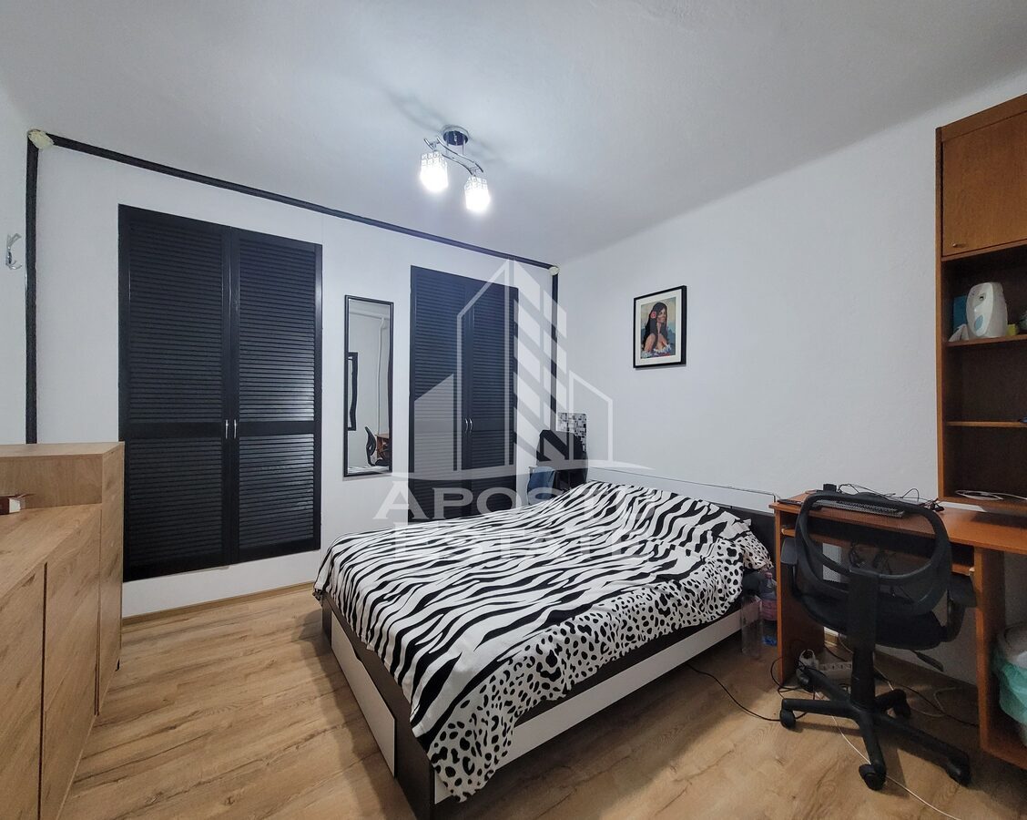 Casa individuala de vanzare, cu 4 camere si 2 garaje, zona Lipovei - foto 12