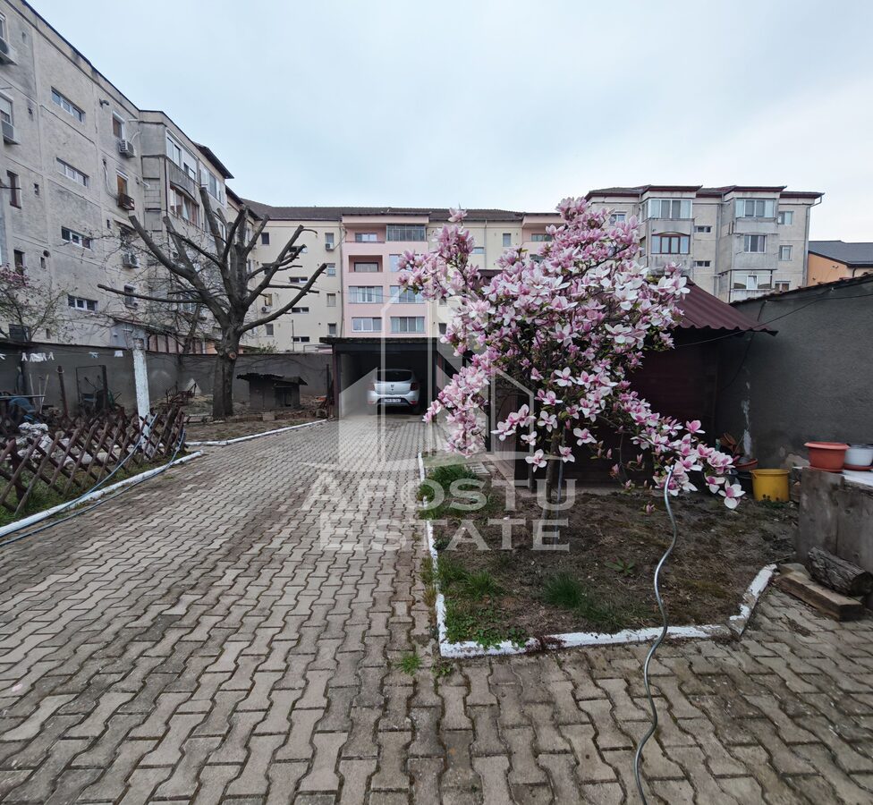 Casa individuala de vanzare, cu 4 camere si 2 garaje, zona Lipovei - foto 8