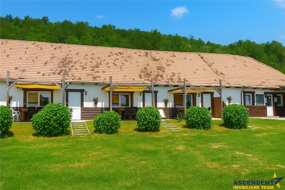 Transilvania Camping, domeniu de 14.400mp,Sanmarghita de Mures:2cladiri, apartamente,potential exceptional - 