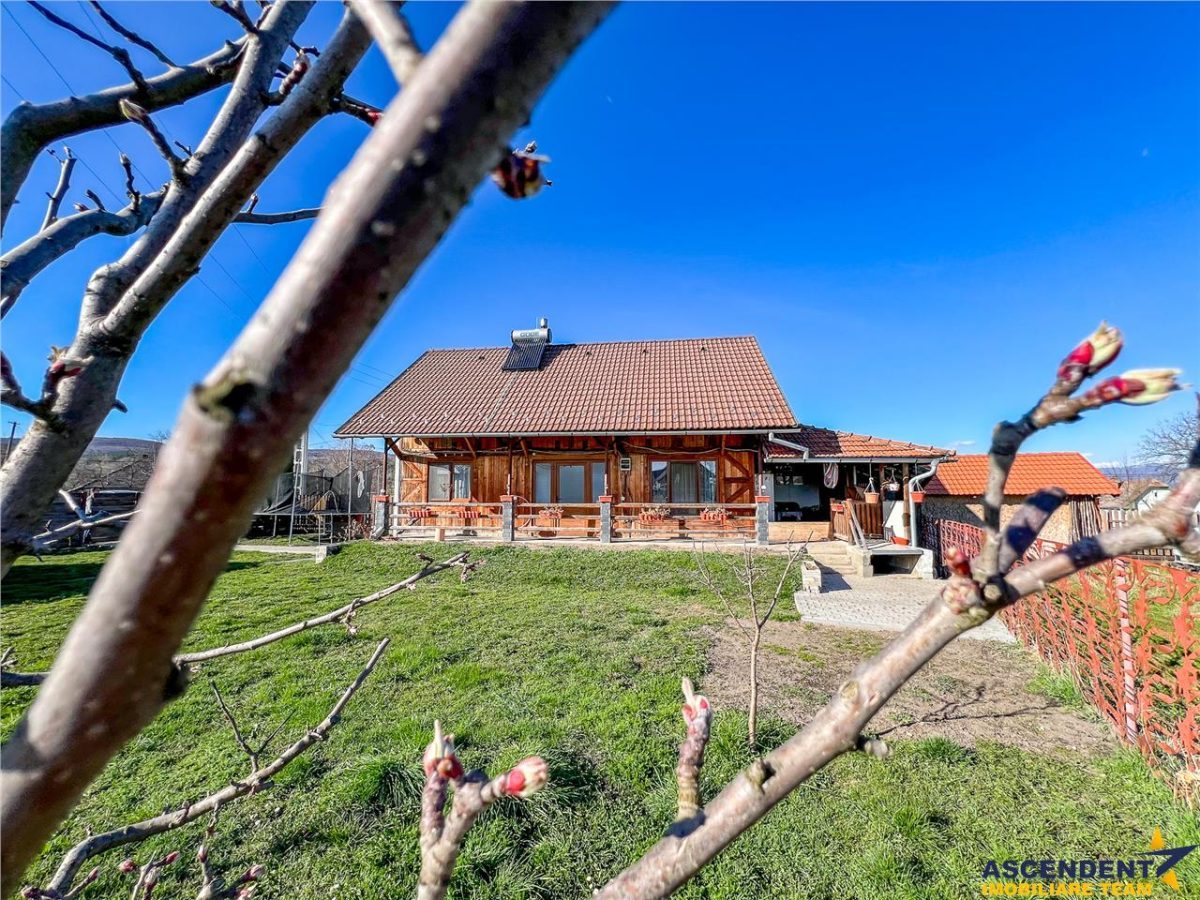 Film& Tur 3D! Refugiu idilic la Arcus: confort modern imbratisat de natura - foto 20