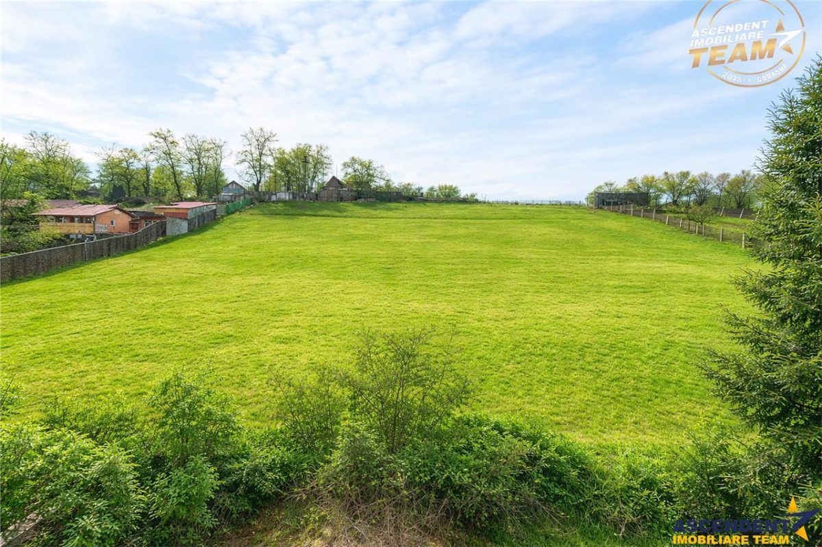 LIVE! Camin decomandat,4 camere,2 bai, conditii apreciabile,Ciucului,Sfantu Gheorghe - foto 14